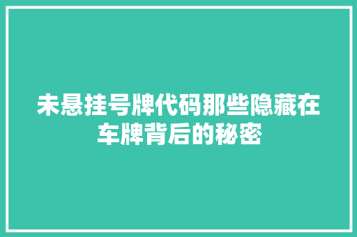 未悬挂号牌代码那些隐藏在车牌背后的秘密