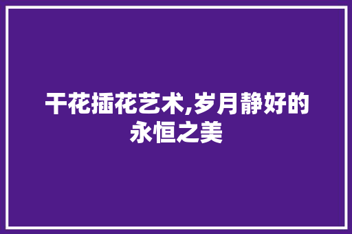 干花插花艺术,岁月静好的永恒之美