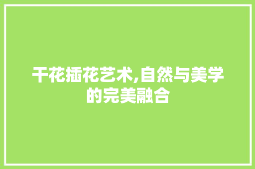 干花插花艺术,自然与美学的完美融合