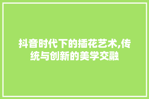 抖音时代下的插花艺术,传统与创新的美学交融