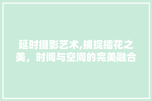 延时摄影艺术,捕捉插花之美，时间与空间的完美融合