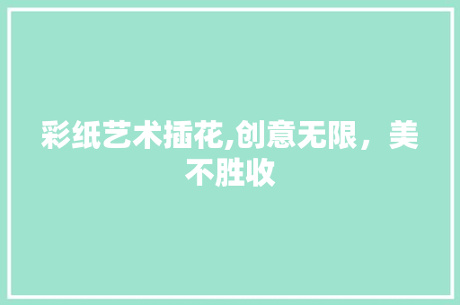 彩纸艺术插花,创意无限，美不胜收