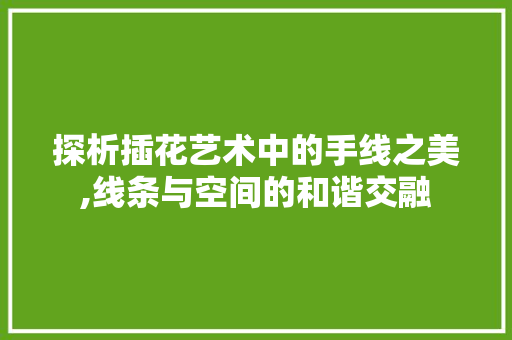 探析插花艺术中的手线之美,线条与空间的和谐交融