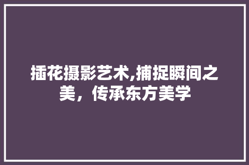 插花摄影艺术,捕捉瞬间之美，传承东方美学
