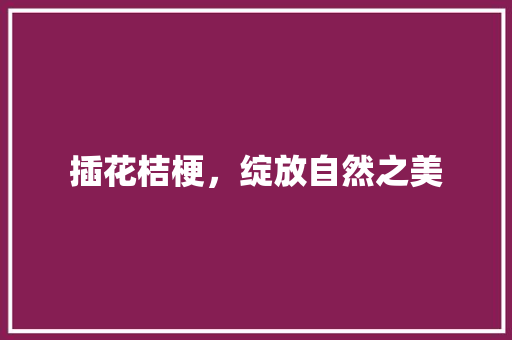 插花桔梗，绽放自然之美