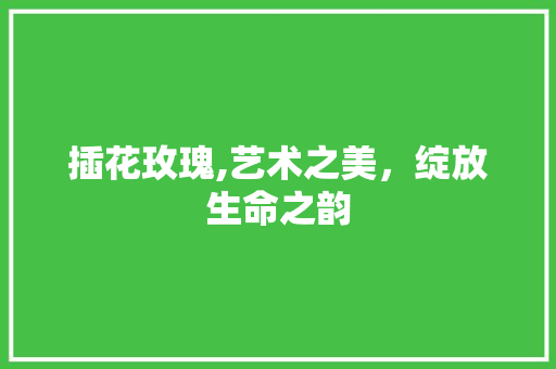 插花玫瑰,艺术之美，绽放生命之韵