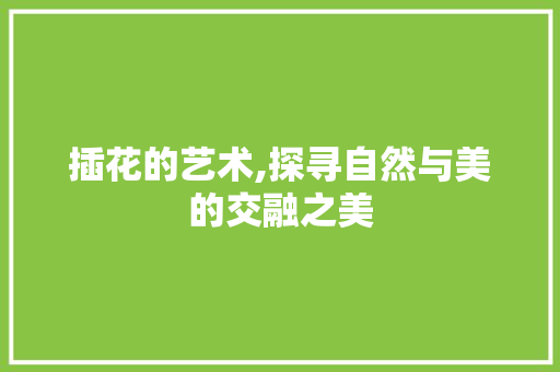 插花的艺术,探寻自然与美的交融之美