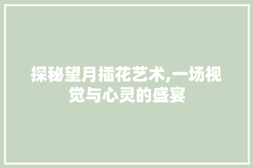探秘望月插花艺术,一场视觉与心灵的盛宴