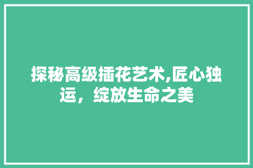 探秘高级插花艺术,匠心独运，绽放生命之美