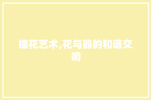插花艺术,花与器的和谐交响