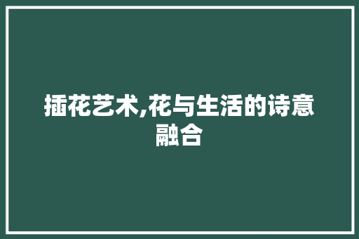 插花艺术,花与生活的诗意融合 土壤管理