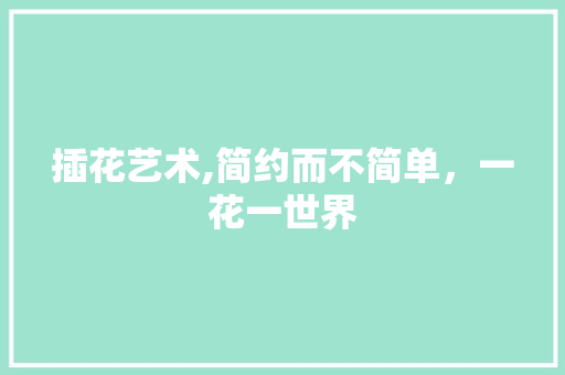 插花艺术,简约而不简单，一花一世界