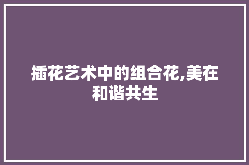 插花艺术中的组合花,美在和谐共生