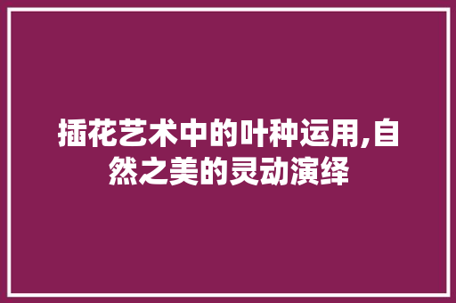 插花艺术中的叶种运用,自然之美的灵动演绎