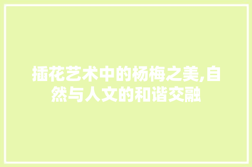 插花艺术中的杨梅之美,自然与人文的和谐交融