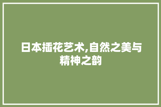 日本插花艺术,自然之美与精神之韵