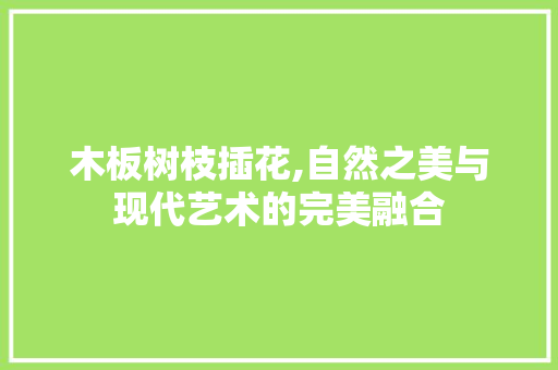 木板树枝插花,自然之美与现代艺术的完美融合 品种特性