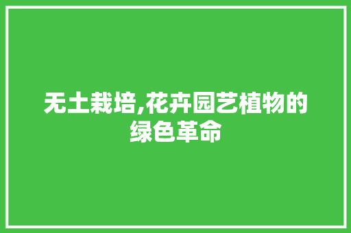 无土栽培,花卉园艺植物的绿色革命
