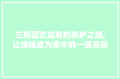 三福园艺盆栽的养护之路,让绿植成为家中的一道亮丽风景线