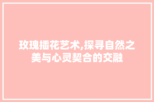 玫瑰插花艺术,探寻自然之美与心灵契合的交融