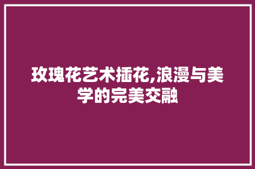 玫瑰花艺术插花,浪漫与美学的完美交融