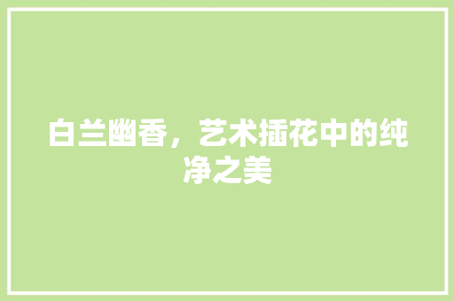 白兰幽香，艺术插花中的纯净之美