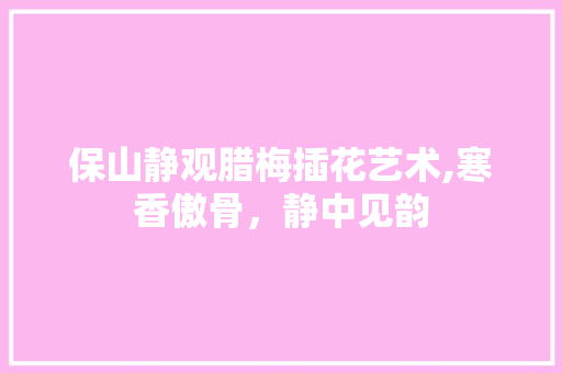保山静观腊梅插花艺术,寒香傲骨，静中见韵