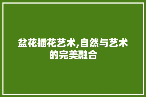 盆花插花艺术,自然与艺术的完美融合