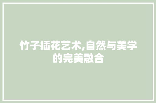竹子插花艺术,自然与美学的完美融合