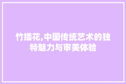 竹插花,中国传统艺术的独特魅力与审美体验