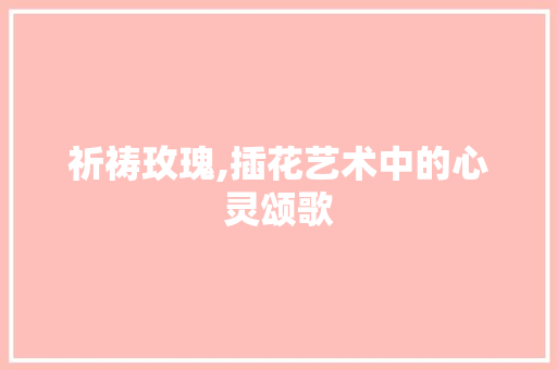 祈祷玫瑰,插花艺术中的心灵颂歌