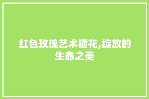 红色玫瑰艺术插花,绽放的生命之美 土壤管理