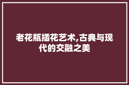 老花瓶插花艺术,古典与现代的交融之美