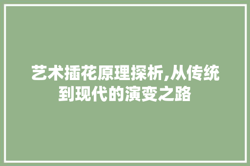 艺术插花原理探析,从传统到现代的演变之路