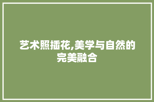 艺术照插花,美学与自然的完美融合