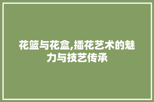 花篮与花盒,插花艺术的魅力与技艺传承
