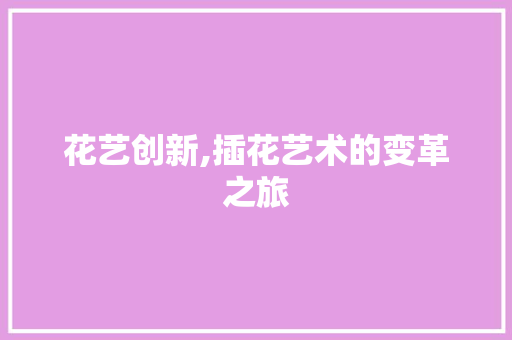 花艺创新,插花艺术的变革之旅