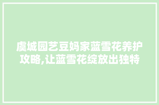 虞城园艺豆妈家蓝雪花养护攻略,让蓝雪花绽放出独特的魅力