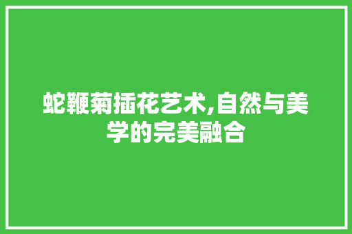 蛇鞭菊插花艺术,自然与美学的完美融合