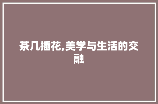 茶几插花,美学与生活的交融