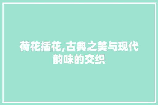 荷花插花,古典之美与现代韵味的交织 修剪方法