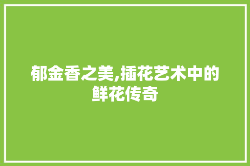 郁金香之美,插花艺术中的鲜花传奇