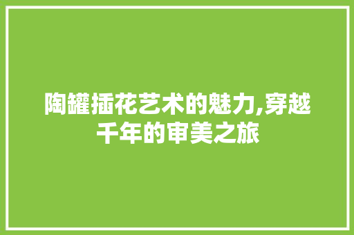 陶罐插花艺术的魅力,穿越千年的审美之旅 灌溉施肥