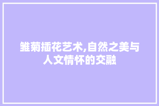 雏菊插花艺术,自然之美与人文情怀的交融