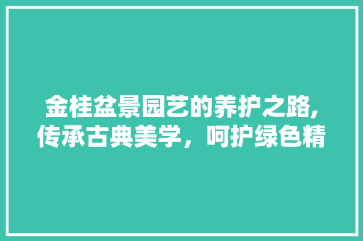 金桂盆景园艺的养护之路,传承古典美学，呵护绿色精灵 土壤管理
