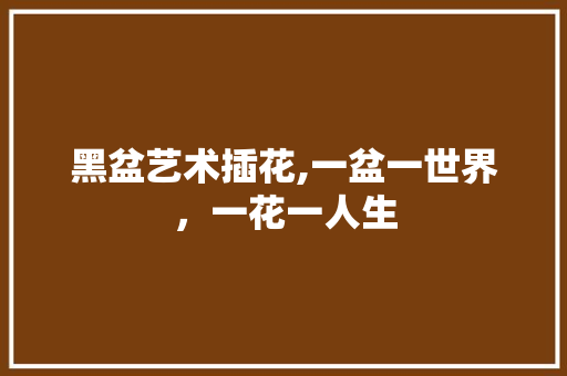 黑盆艺术插花,一盆一世界，一花一人生
