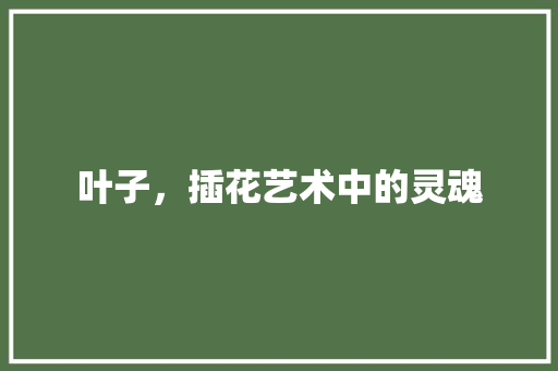 叶子，插花艺术中的灵魂