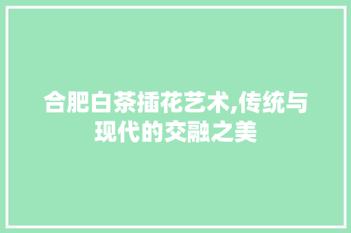合肥白茶插花艺术,传统与现代的交融之美