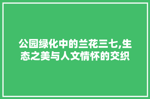 公园绿化中的兰花三七,生态之美与人文情怀的交织