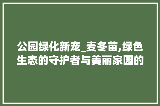 公园绿化新宠_麦冬苗,绿色生态的守护者与美丽家园的缔造者